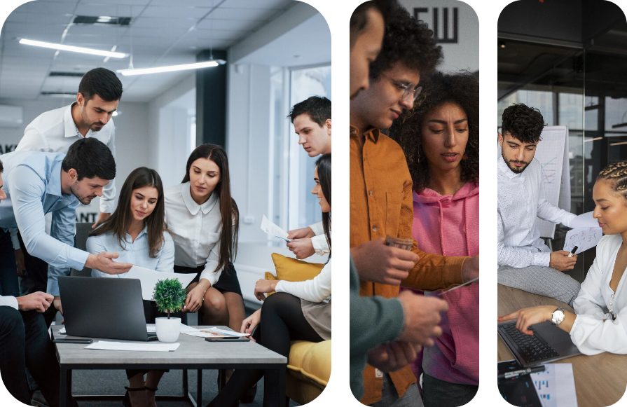 Custom Logo Design Services