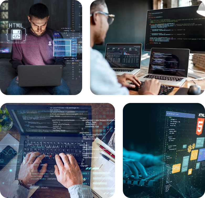 WordPress Development Agency